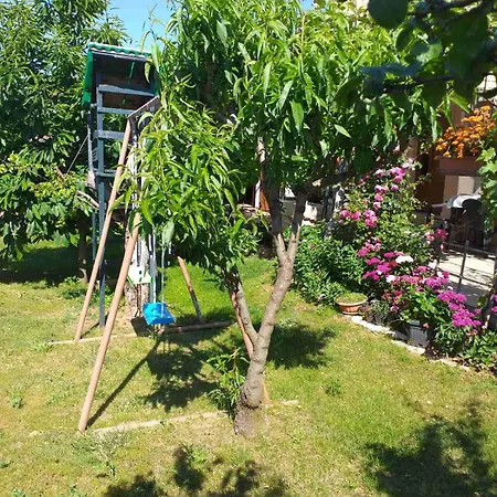 Apartment Lori Pula